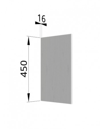 Панель торцевая (для шкафа горизонтального высокого) ВПГ Ройс (Графит софт) в Чике - chik.mebel54.com | фото